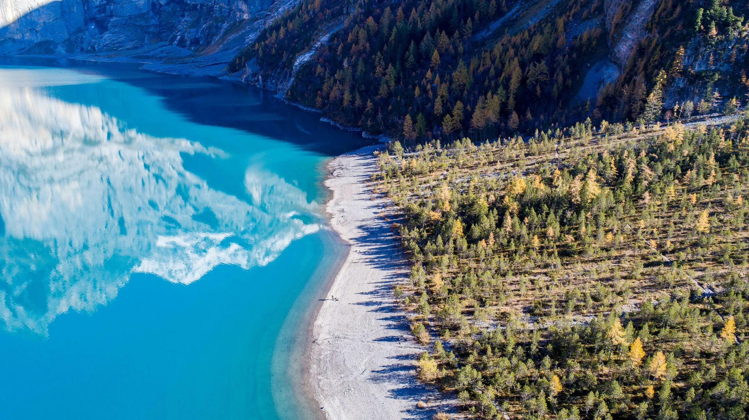 Aerial view of a turquoise alpine lake meeting a forested shoreline with autumn-gold larch trees