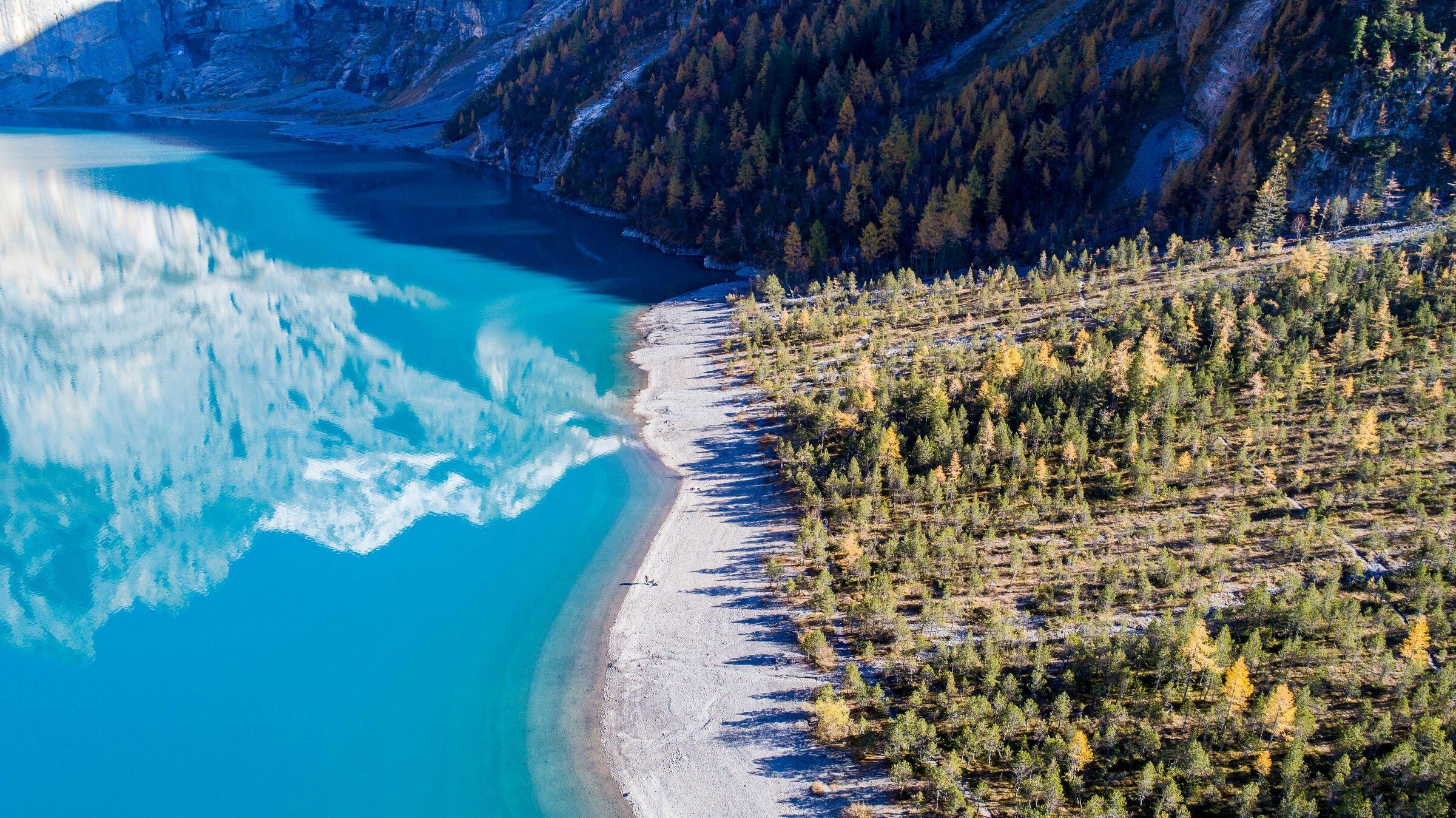 Aerial view of a turquoise alpine lake meeting a forested shoreline with autumn-gold larch trees